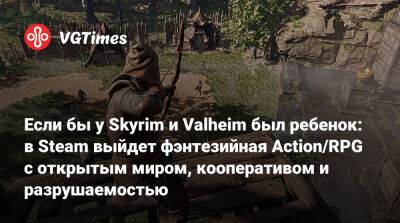 Если бы у Skyrim и Valheim был ребенок: в Steam выйдет фэнтезийная Action/RPG с открытым миром, кооперативом и разрушаемостью - vgtimes.ru