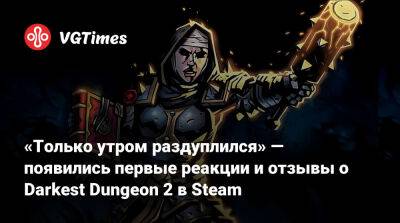 Red Hook - «Только утром раздуплился» — геймеры в Steam очень положительно оценили мрачный фэнтезийный рогалик Darkest Dungeon 2 - vgtimes.ru