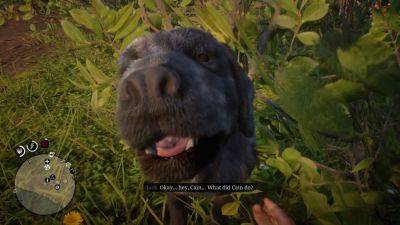 Умерла собака, ставшая прототипом Кейна из игры Red Dead Redemption 2 - games.24tv.ua - деревня Линде - Украина