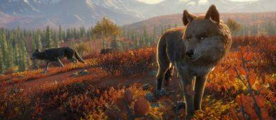 Бесплатно и навсегда: theHunter Call of the Wild в Epic Games Store - zoneofgames.ru - Russia