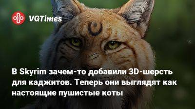 В Skyrim зачем-то добавили 3D-шерсть для каджитов. Теперь они выглядят как настоящие пушистые коты - vgtimes.ru