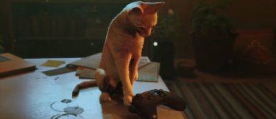 Филипп Спенсер - Популярная игра про кота Stray анонсирована для Xbox Series X|S и Xbox One — выходит в августе - gamemag.ru