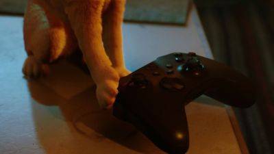 Рыжий котейка из Stray отправится покорять консоли Xbox 10 августа - playground.ru