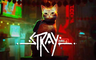 Главный хит PS Plus выйдет на устройстве Microsoft. Игра о котике в киберпанковском городе Stray появится на Xbox - gametech.ru - Stray