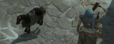 Если выбросить из сумки скакуна в Diablo IV, то он отобразится на земле в миниатюре - noob-club.ru