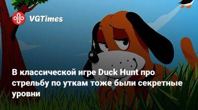 В классической игре Duck Hunt про стрельбу по уткам тоже были секретные уровни - vgtimes.ru - Сша - штат Миннесота
