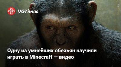 Одну из умнейших обезьян научили играть в Minecraft — видео - vgtimes.ru