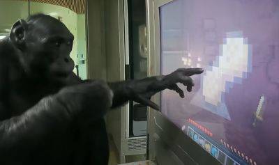 Блогер научил обезьяну играть в Minecraft. Похождения волосатого геймера в кубическом мире - gametech.ru - Россия - Белоруссия
