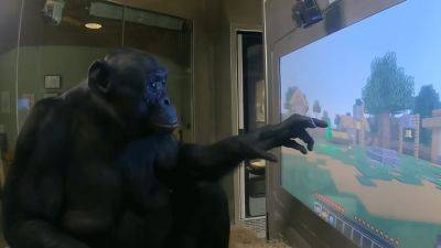 Шимпанзе научился играть в Minecraft не хуже Лолошки и Ивангая - coop-land.ru
