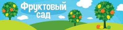 Добро пожаловать во "Фруктовый сад"! - hobbygames.ru