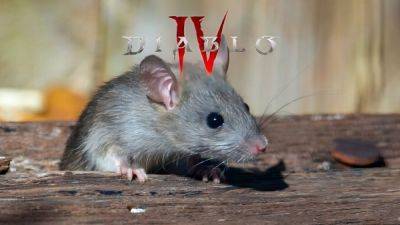 Игроки Diablo 4 следуют за крысами, чтобы найти ценный лут - playground.ru