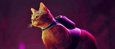 Котик хочет поиграть: Состоялся релиз Stray для Xbox Series X|S и Xbox One - gamemag.ru