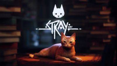 Stray стала самой продаваемой игрой на консолях Xbox - playground.ru
