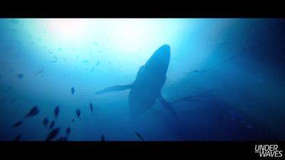 Почти 18 минут геймплея подводного приключения Under the Waves - playground.ru