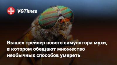 Вышел трейлер нового симулятора мухи, в котором обещают множество необычных способов умереть - vgtimes.ru