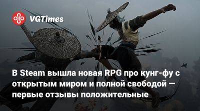 В Steam вышла новая RPG про кунг-фу с открытым миром и полной свободой — первые отзывы положительные - vgtimes.ru