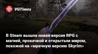В Steam вышла новая версия RPG с магией, прокачкой и открытым миром, похожей на «мрачную версию Skyrim» - vgtimes.ru