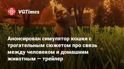 Анонсирован симулятор кошки с трогательным сюжетом про связь между человеком и домашним животным — трейлер - vgtimes.ru