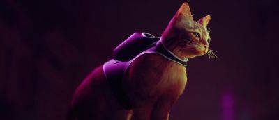 Путешествие бродячего кота на большом экране: Адвенчура Stray получит экранизацию - gamemag.ru
