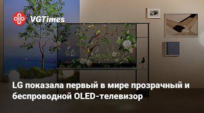 LG показала первый в мире прозрачный и беспроводной OLED-телевизор - vgtimes.ru