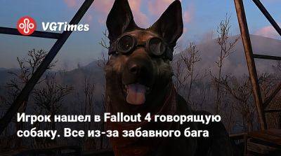 Джон Воробей - Игрок нашел в Fallout 4 говорящую собаку. Все из-за забавного бага - vgtimes.ru