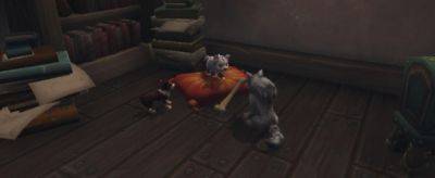 Игрок рассказал небольшую историю появления своего пса Гизмо в World of Warcraft - noob-club.ru
