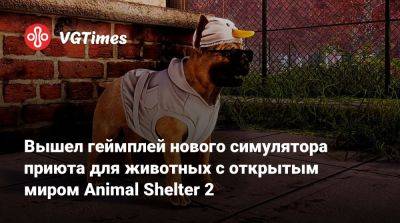 Вышел геймплей нового симулятора приюта для животных с открытым миром Animal Shelter 2 - vgtimes.ru