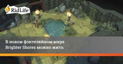 В новом фэнтезийном мире Brighter Shores можно жить - ridus.ru - Сша