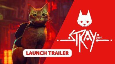 Stray доступна на Nintendo Switch в физическом и цифровом изданиях - gametech.ru