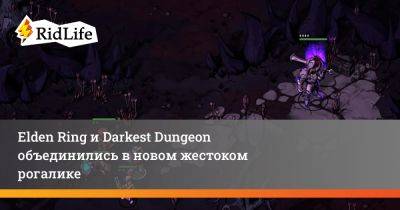 Elden Ring и Darkest Dungeon объединились в новом жестоком рогалике - ridus.ru