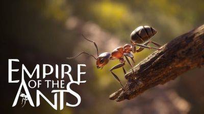 Стратегия Empire of the Ants получила релизный трейлер - playground.ru