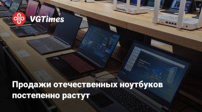 Продажи отечественных ноутбуков постепенно растут - vgtimes.ru