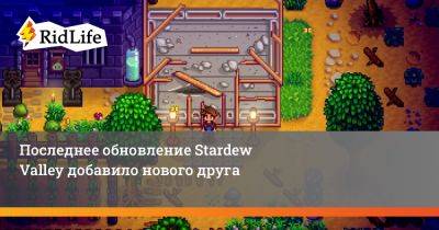 Эрик Барон - Последнее обновление Stardew Valley добавило нового друга - ridus.ru