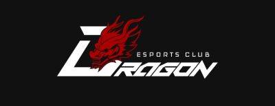 Состав Dragon Esports Club по Dota 2 ищет новую организацию - dota2.ru