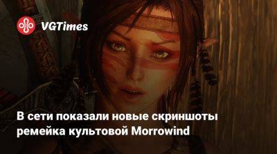 В сети показали новые скриншоты ремейка культовой Morrowind - vgtimes.ru