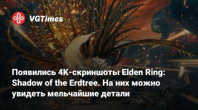 Появились 4K-скриншоты Elden Ring: Shadow of the Erdtree. На них можно увидеть мельчайшие детали - vgtimes.ru
