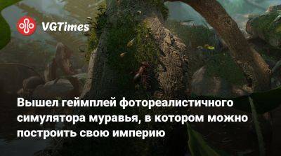 Вышел геймплей фотореалистичного симулятора муравья, в котором можно построить свою империю - vgtimes.ru