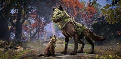Разработчики уже активно тестируют ранние версии игры The Elder Scrolls 6 - itndaily.ru