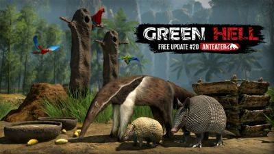 Green Hell - ПК-версия Green Hell получит бесплатное обновление Anteater - lvgames.info