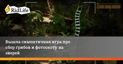 Вышла симпатичная игра про сбор грибов и фотоохоту на зверей - ridus.ru