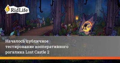Началось публичное тестирование кооперативного рогалика Lost Castle 2 - ridus.ru