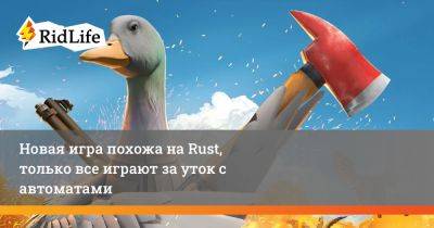 Новая игра похожа на Rust, только все играют за уток с автоматами - ridus.ru