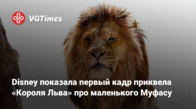 Disney показала первый кадр приквела «Короля Льва» про маленького Муфасу - vgtimes.ru