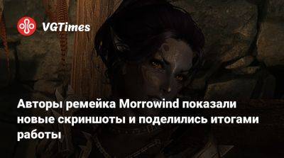 Авторы ремейка Morrowind показали новые скриншоты и поделились итогами работы - vgtimes.ru