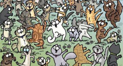 Головоломка «Simon's Cat - Match!» про кота Саймона доступна на iOS и Android в Канаде - app-time.ru - Канада