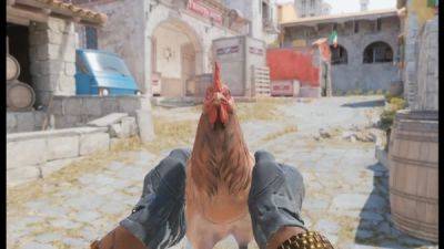 Кому нужны скины, когда есть куры? В Counter-Strike 2 нашли анимации осмотра куриц - playground.ru