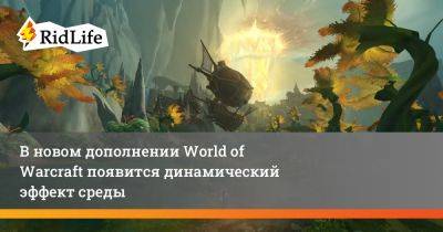 В новом дополнении World of Warcraft появится динамический эффект среды - ridus.ru