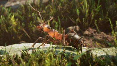 Симулятор мурашника Empire of the Ants вийде 7 листопадаФорум PlayStation - ps4.in.ua