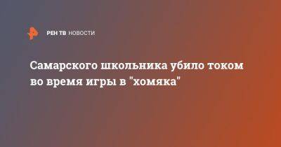 Самарского школьника убило током во время игры в "хомяка" - ren.tv - Самара