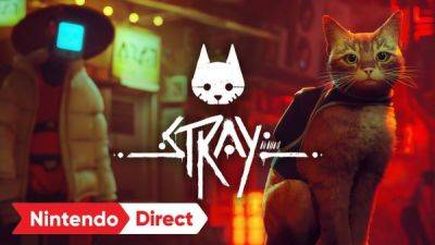 Кошачье приключение Stray появится на Nintendo Switch до конца года - playground.ru